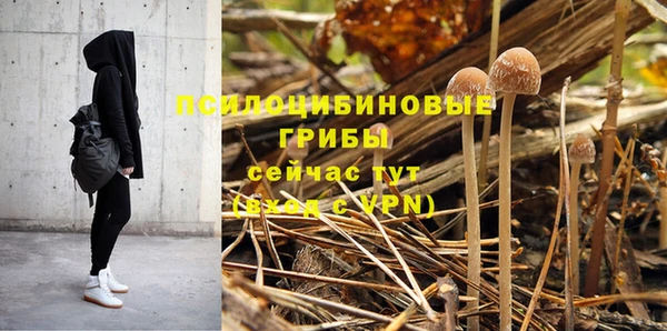 круглые Козловка