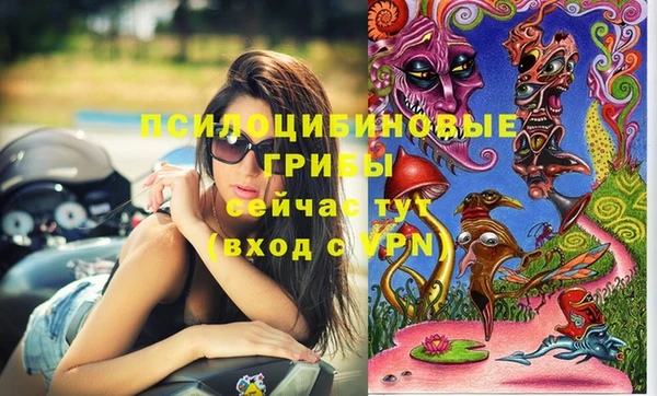 бошки Богданович