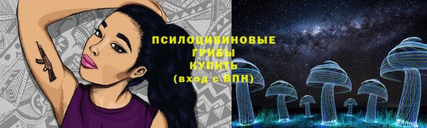 прущая мука Козельск
