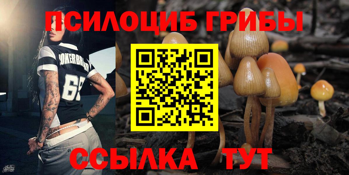 Галлюциногенные грибы мухоморы  Вход с VPN  Воронеж 