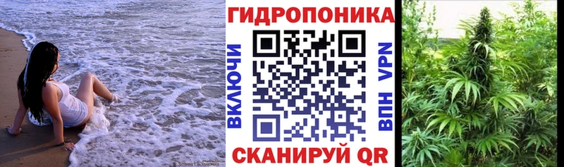 Бошки Шишки Ganja Воронеж